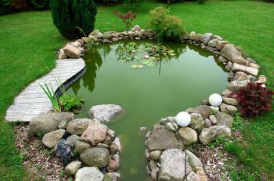 Architect_Sriparna_Saha_landscape_garden_design_architecture_pond_cephalor